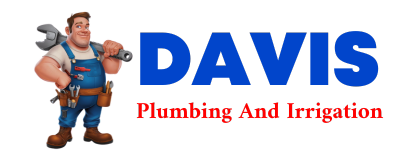 Trusted plumber in ALLEGRE